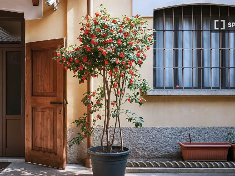 Immagine 13 di Appartamento in affitto  in Via Lodovico Muratori a Milano