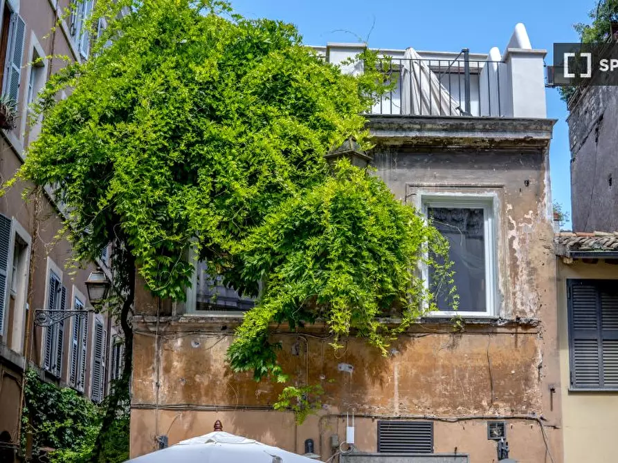 Immagine 6 di Appartamento in affitto  in Vicolo del Bologna a Roma