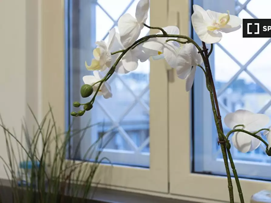 Immagine 14 di Appartamento in affitto  in Via Marcantonio Bragadin a Roma