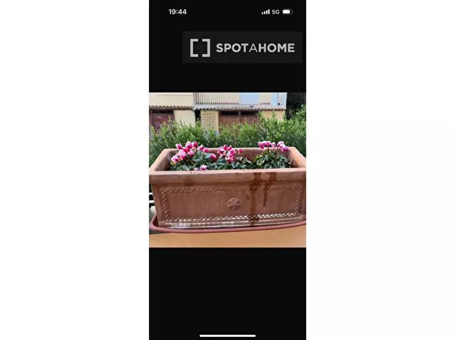 Immagine 6 di Appartamento in affitto  in Via Franco Briolini a Roma