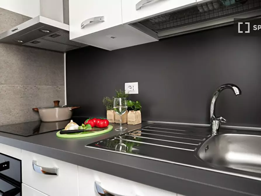 Immagine 14 di Appartamento in affitto  in Via Paladini a Milano