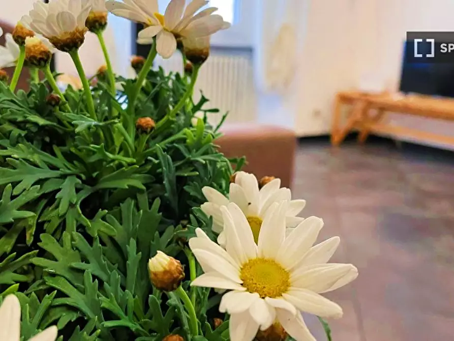 Immagine 3 di Appartamento in affitto  in Piazza dell'Agnello a Genova