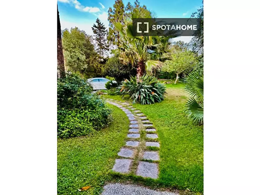 Immagine 6 di Appartamento in affitto  in Via Gallura a Selargius