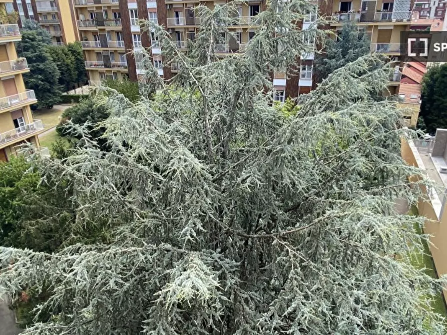 Immagine 16 di Appartamento in affitto  in Via Lattanzio a Milano