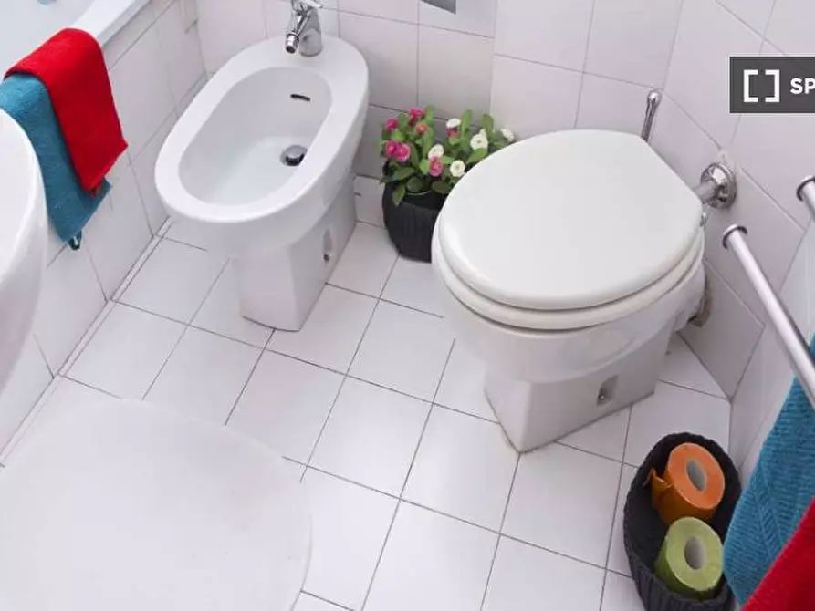 Immagine 19 di Camera condivisa in affitto  in Via Salvatore Barzilai a Milano