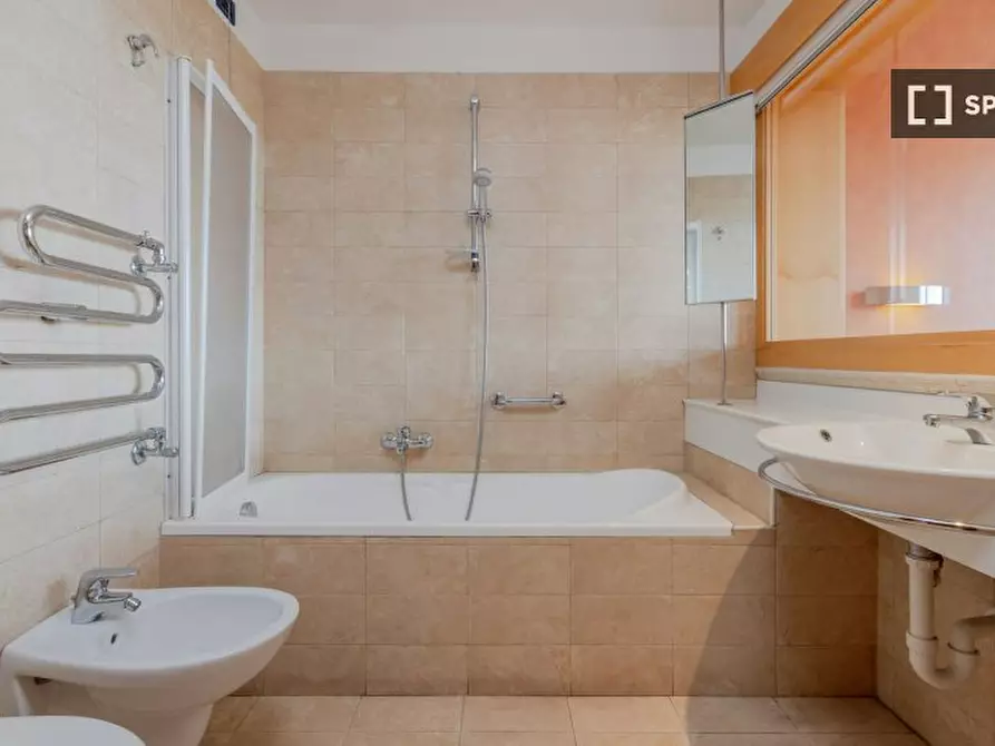 Immagine 12 di Camera condivisa in affitto  in Lungo Dora Napoli a Torino