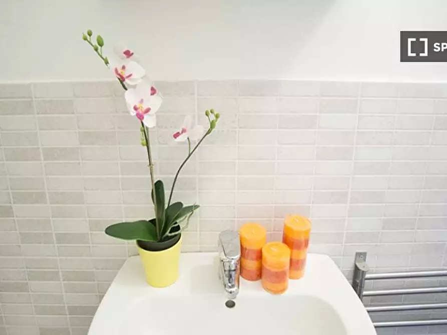 Immagine 10 di Camera condivisa in affitto  in Viale Tunisia a Milano