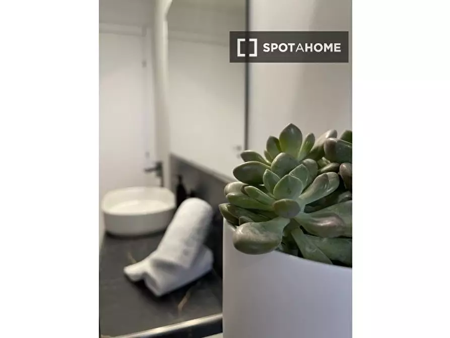 Immagine 11 di Appartamento in affitto  in Via Senese a Firenze