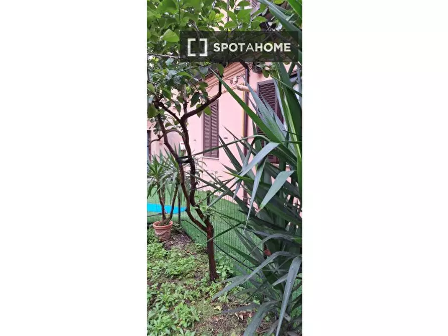 Immagine 2 di Ufficio in affitto  in Via Muzio Attendolo a Roma