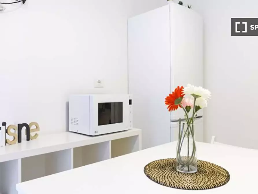 Immagine 14 di Camera condivisa in affitto  in Via Melchiorre Delfico a Milano