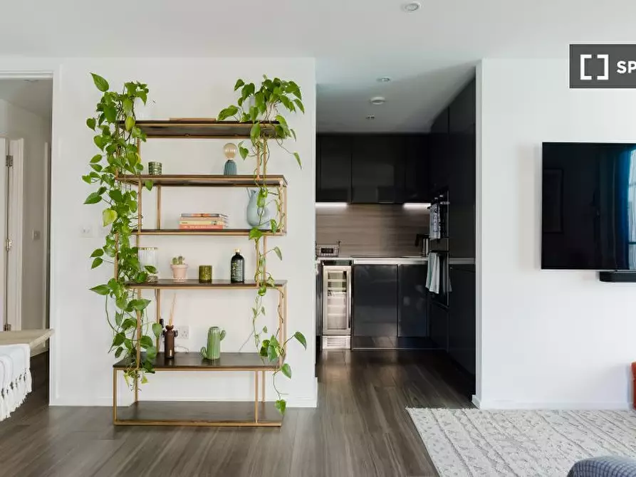 Immagine 8 di Appartamento in affitto  in Broomhill Road a Wandsworth