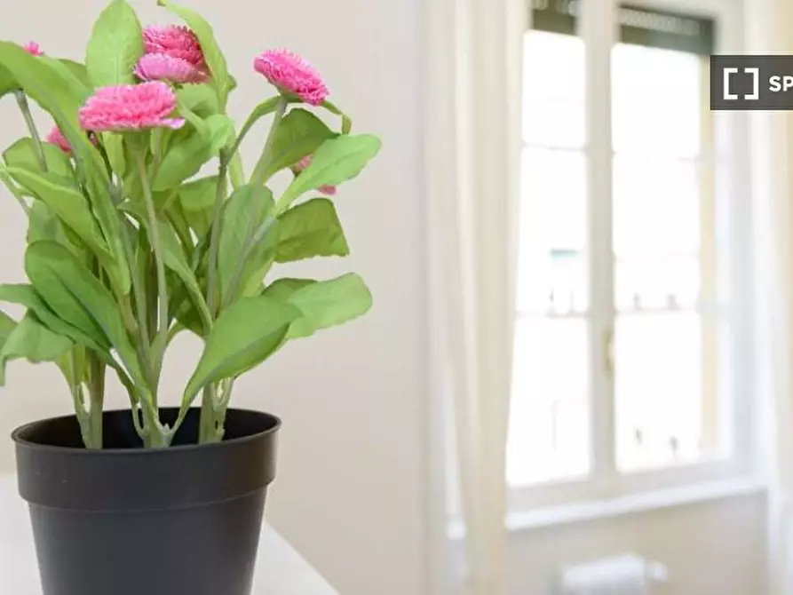 Immagine 5 di Camera condivisa in affitto  in Via Mauro Macchi a Milano