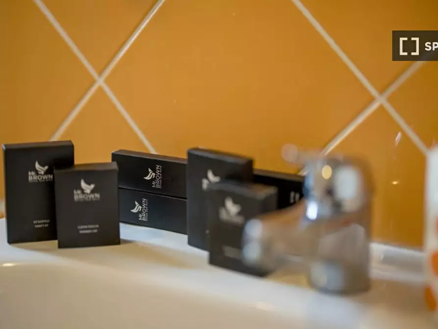 Immagine 16 di Appartamento in affitto  in Via Salvatore Pincherle a Roma