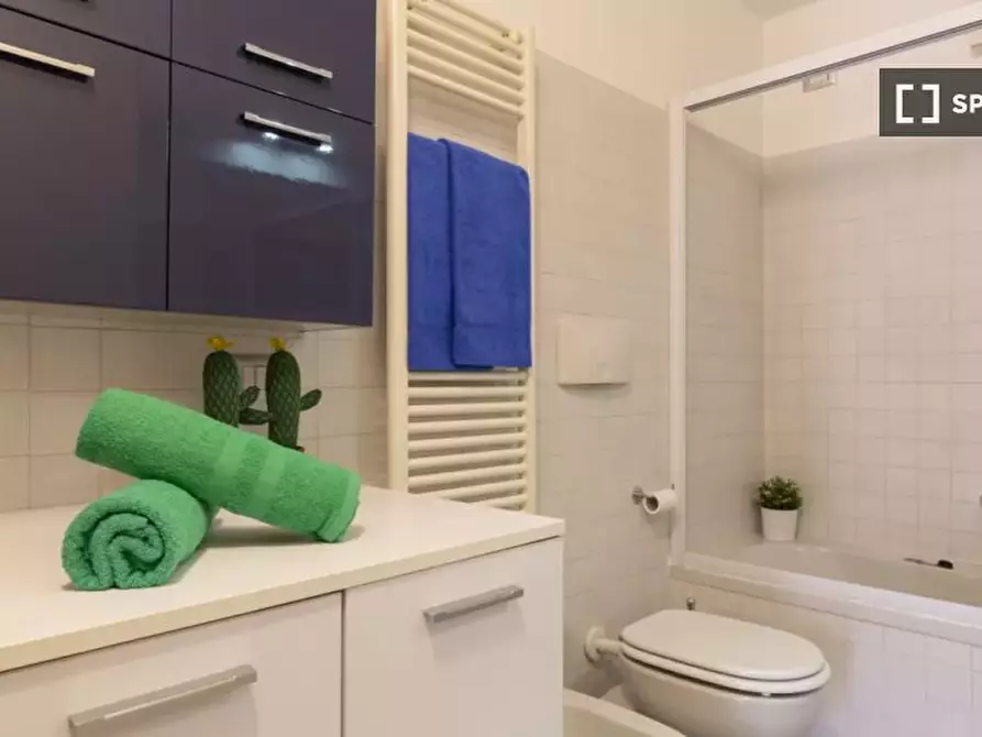 Immagine 19 di Appartamento in affitto  in Via Oreste Salomone a Milano