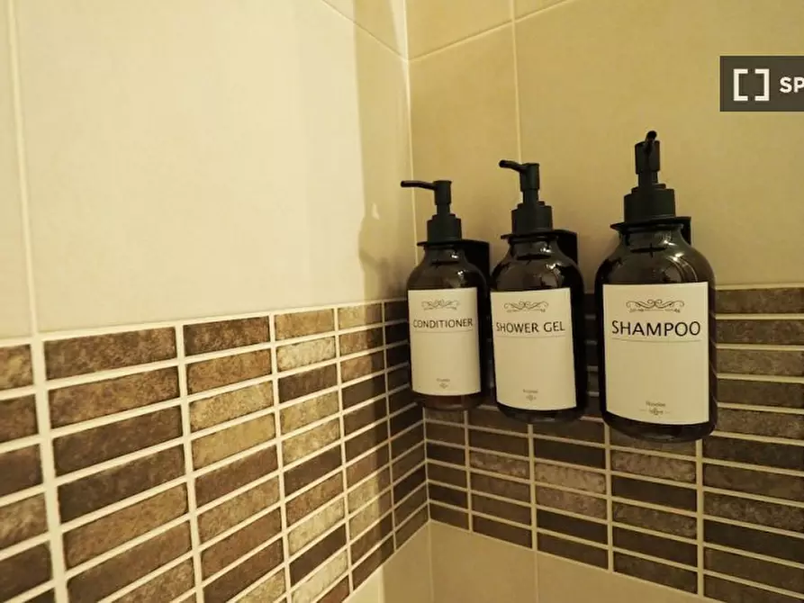 Immagine 16 di Appartamento in affitto  in Via Alberto Nota a Torino