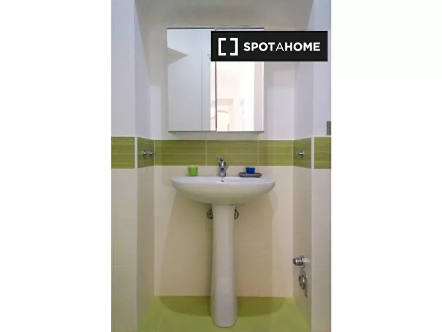 Immagine 19 di Camera condivisa in affitto  in Piazza Emanuele Filiberto a Torino