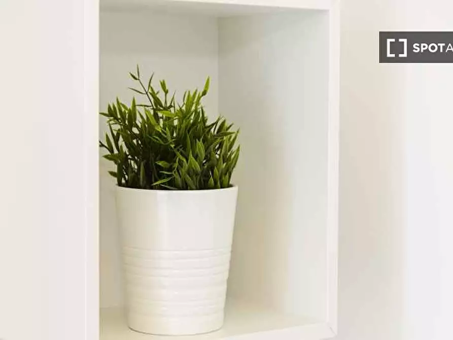 Immagine 8 di Camera condivisa in affitto  in Via Sulmona a Milano