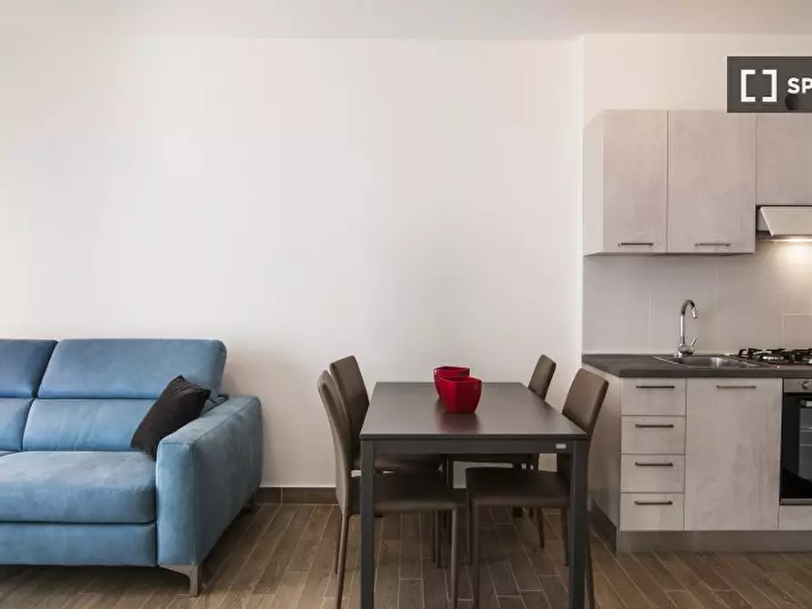 Immagine 14 di Appartamento in affitto  in Via Luigi de Marchi a Roma