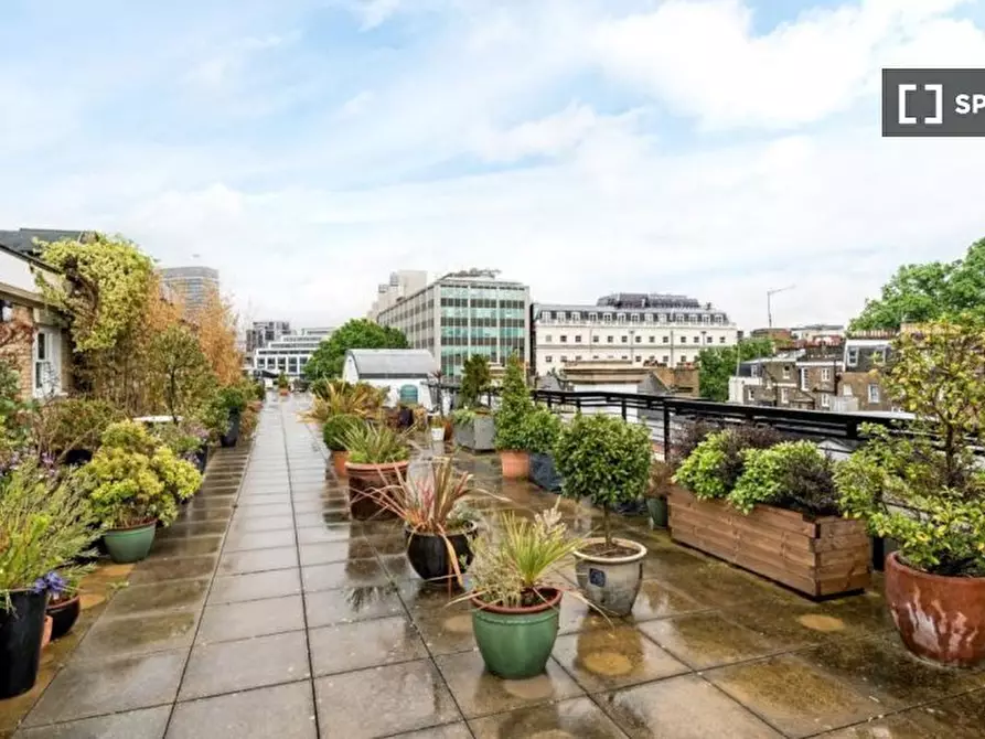 Immagine 16 di Appartamento in affitto  in Hugh St a 