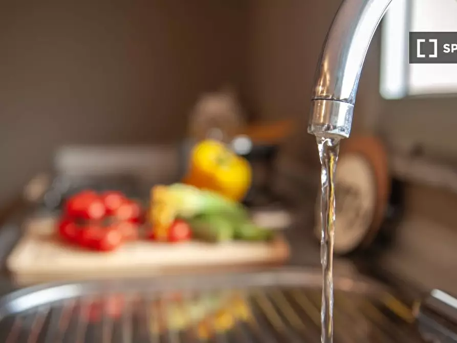 Immagine 16 di Appartamento in affitto  in Via Lorenzo Il Magnifico a Firenze