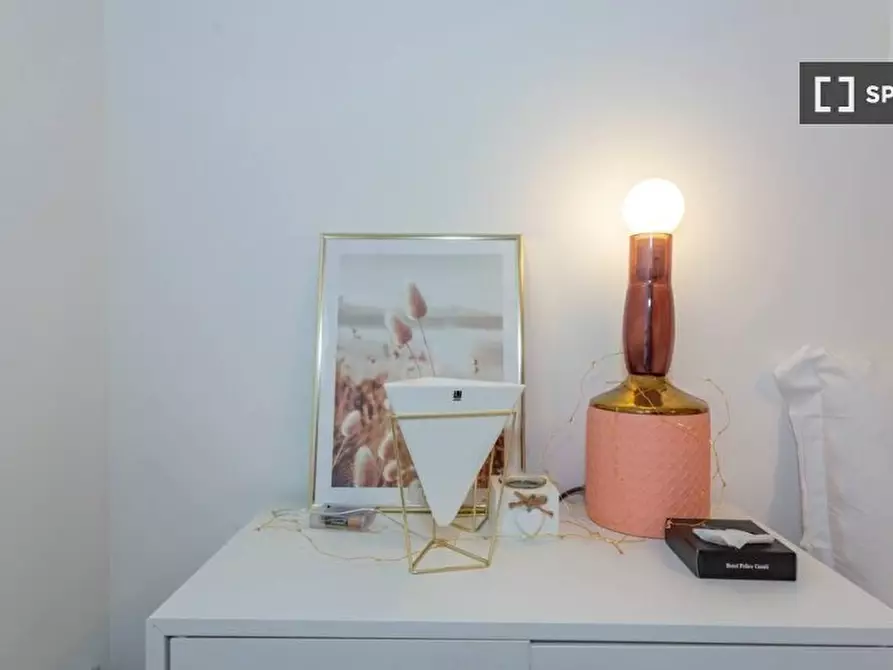 Immagine 3 di Appartamento in affitto  in Viale Brianza a Milano