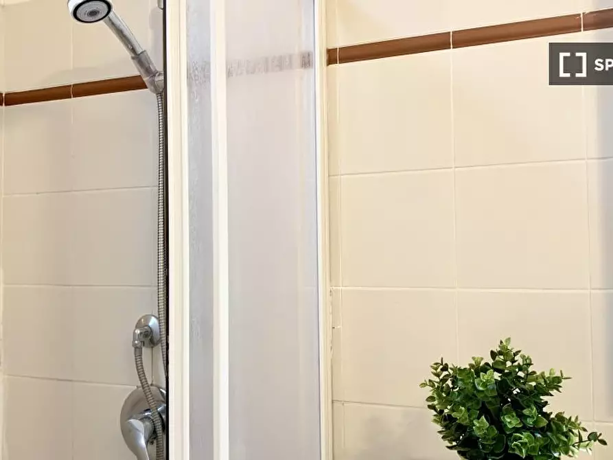 Immagine 13 di Camera condivisa in affitto  in VIA S. ANTONINO (2) a Firenze