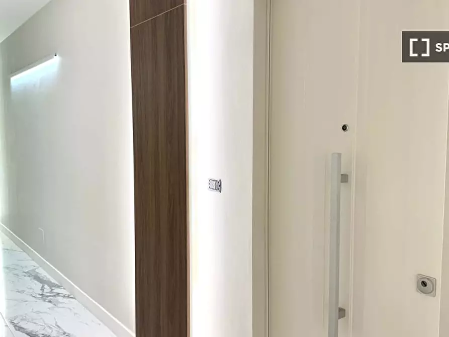 Immagine 18 di Appartamento in affitto  in Via Giuseppe Luigi Lagrange a Torino