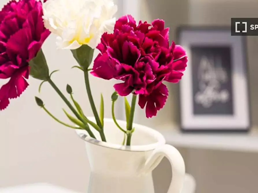 Immagine 10 di Camera condivisa in affitto  in Via Saverio Mercadante a Milano