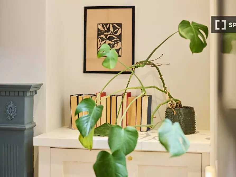 Immagine 6 di Appartamento in affitto  in Huxley Street a Kensington