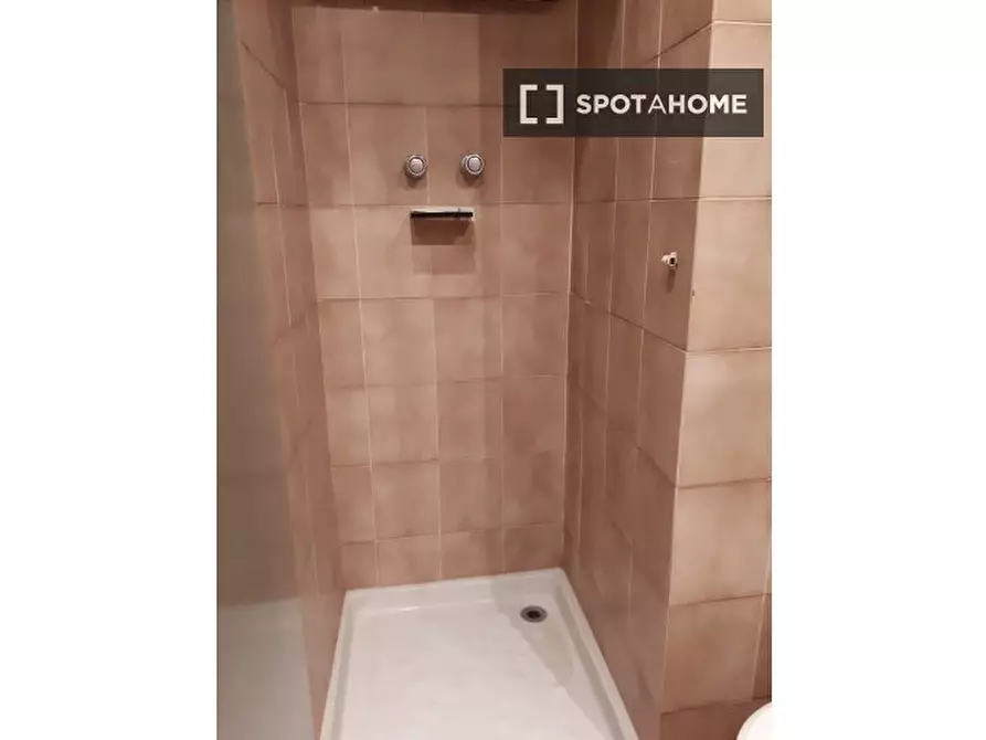 Immagine 16 di Camera condivisa in affitto  in Via Federico Paolini a Torino