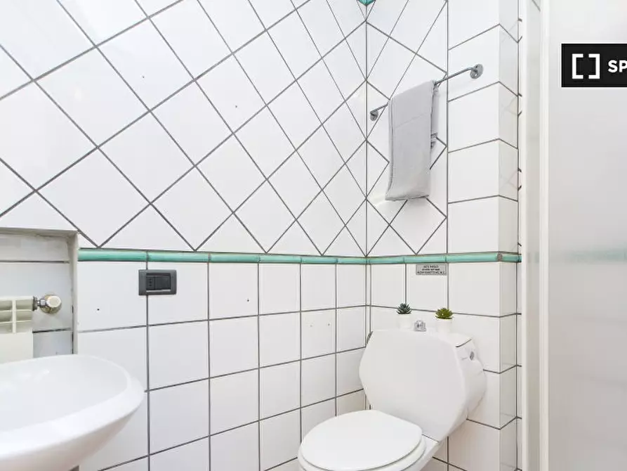 Immagine 11 di Appartamento in affitto  in Viale Fratelli Rosselli a Firenze