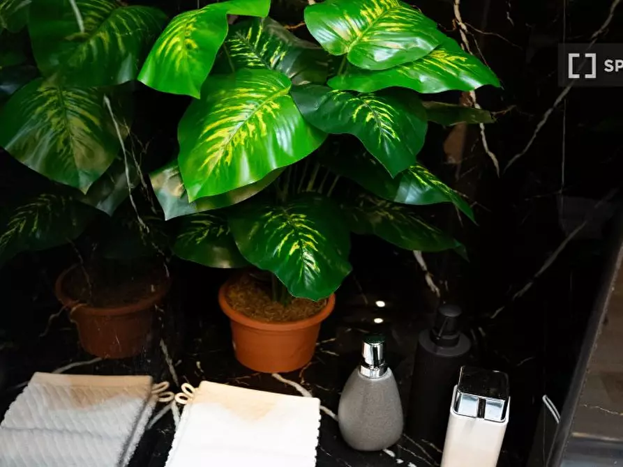 Immagine 4 di Appartamento in affitto  in Via Conte di Carmagnola a Roma