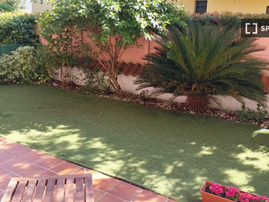 Immagine 4 di Camera condivisa in affitto  in Via Donato Bramante a Buccinasco