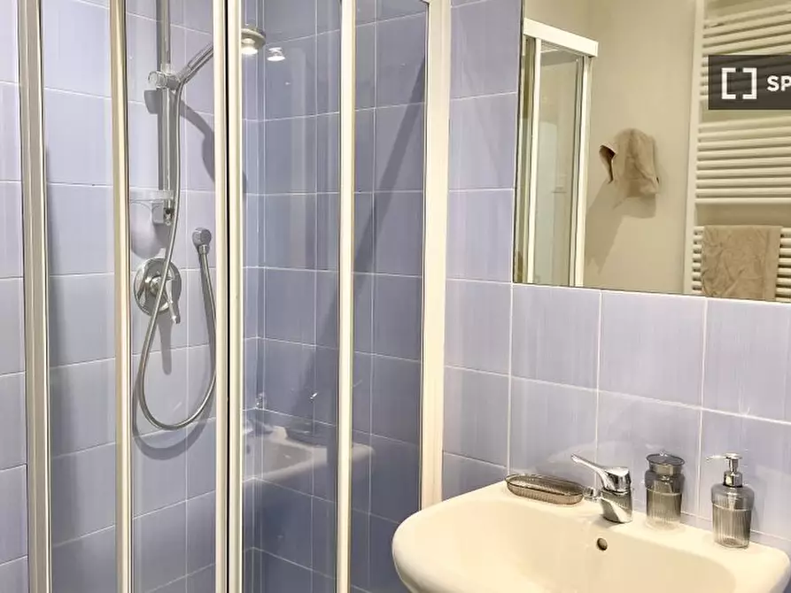 Immagine 18 di Camera condivisa in affitto  in LUNGARNO VESPUCCI a Firenze