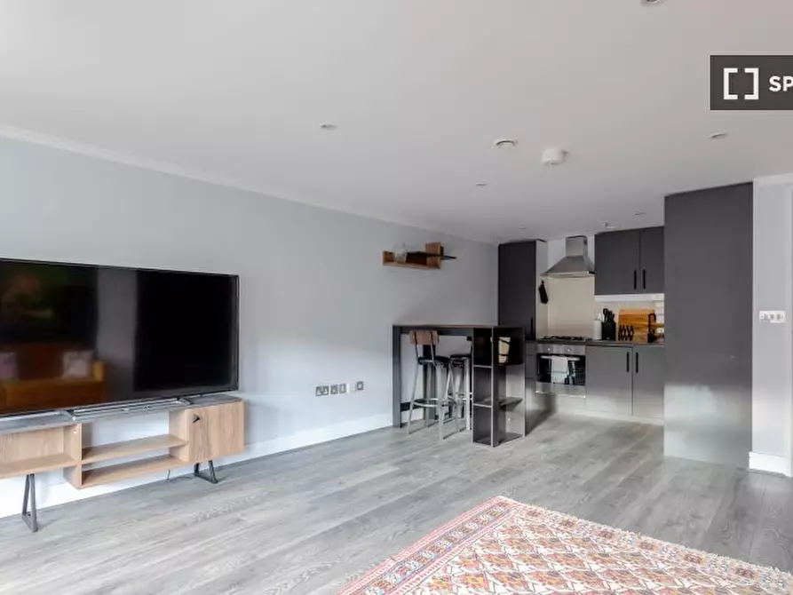 Immagine 18 di Appartamento in affitto  in Greyhound Rd a Hammersmith
