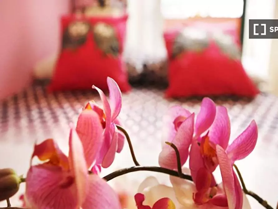 Immagine 2 di Camera condivisa in affitto  in Via Niccolò Paganini a Milano