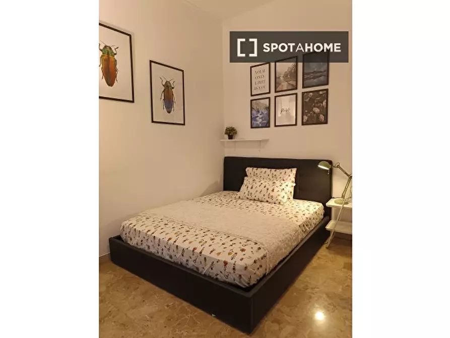 Immagine 5 di Camera condivisa in affitto  in Viale Papiniano a Milano