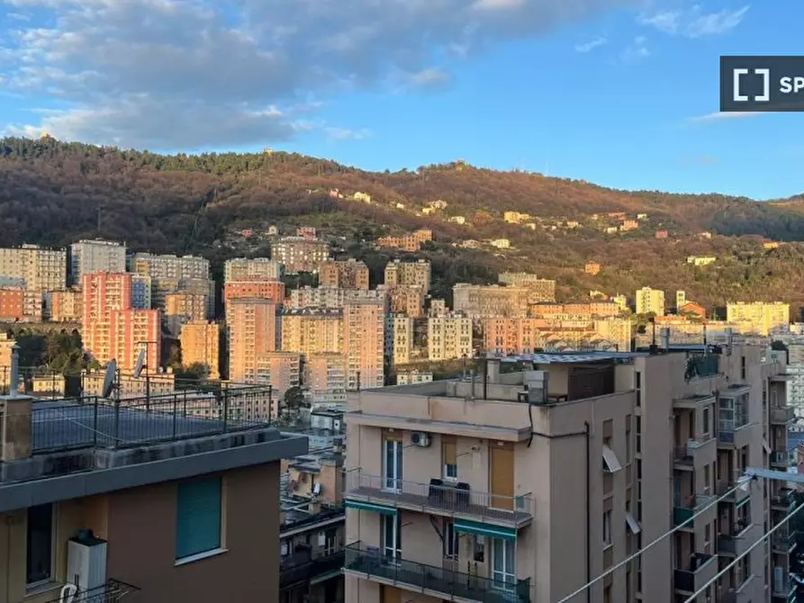 Immagine 10 di Camera condivisa in affitto  in Via Monte Rosa a Genova