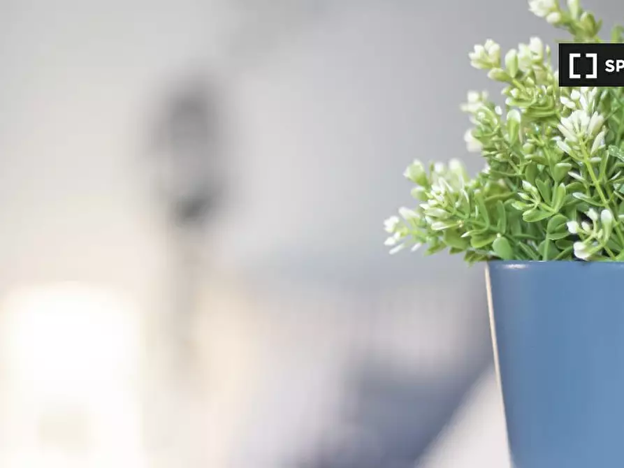 Immagine 11 di Camera condivisa in affitto  in Via Giovanni Carlo Cavalli a Torino