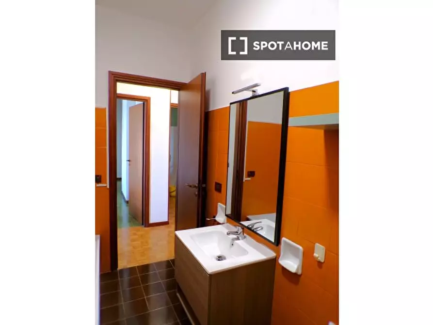 Immagine 13 di Camera condivisa in affitto  in Rodolfo Mondolfo a Bologna