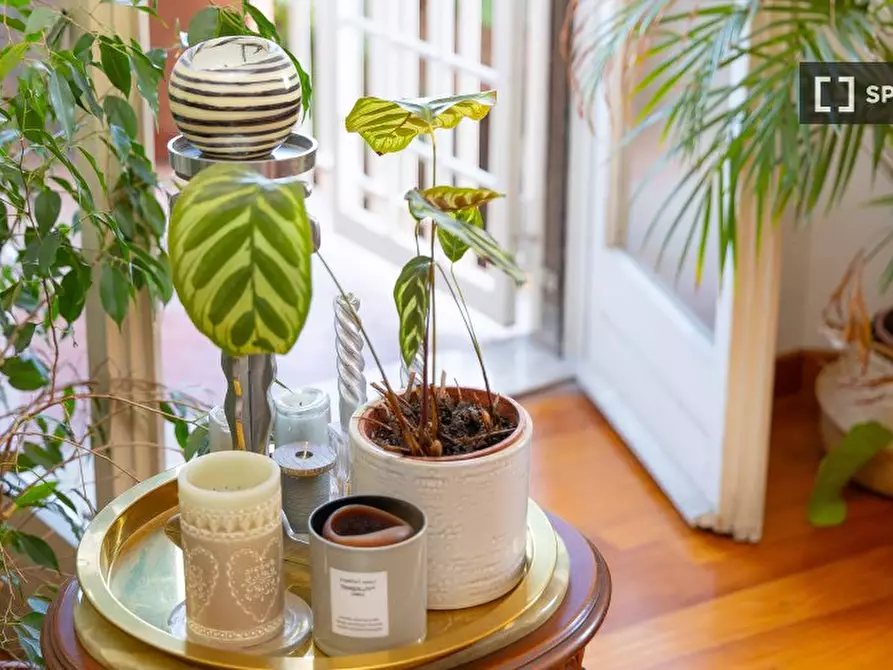 Immagine 15 di Appartamento in affitto  in Largo Francesco Anzani a Roma