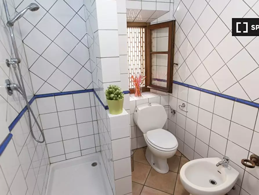 Immagine 13 di Appartamento in affitto  in Viale Fratelli Rosselli a Firenze