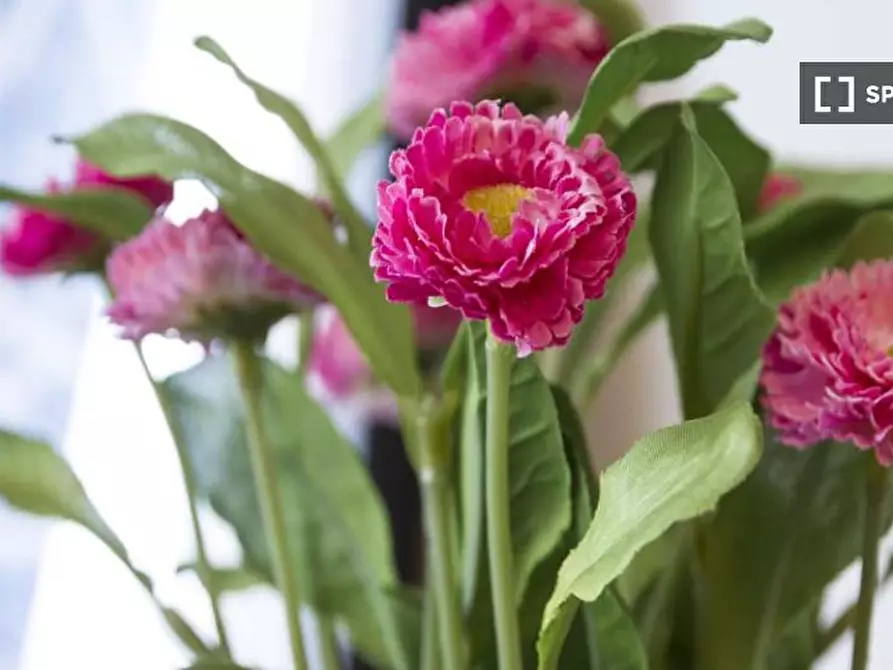 Immagine 8 di Camera condivisa in affitto  in Via Raffaello Bertieri a Milano