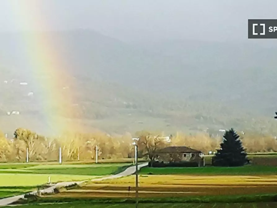 Immagine 7 di Appartamento in affitto  in Via di Camprena a Bibbiena