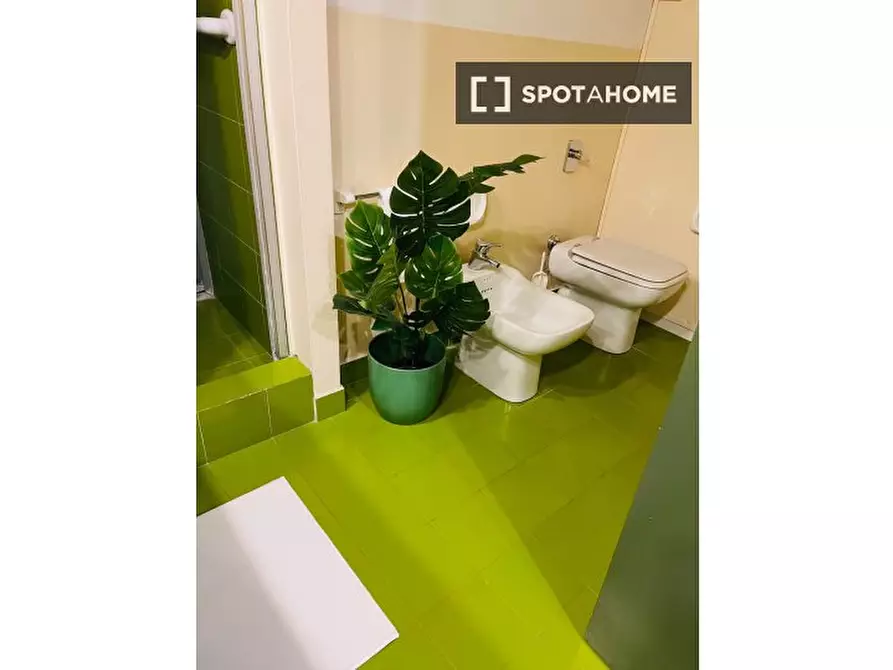 Immagine 13 di Camera condivisa in affitto  in Viale Coni Zugna a Milano