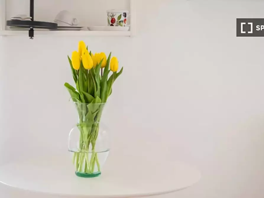 Immagine 14 di Ufficio in affitto  in Viale Piceno a Milano