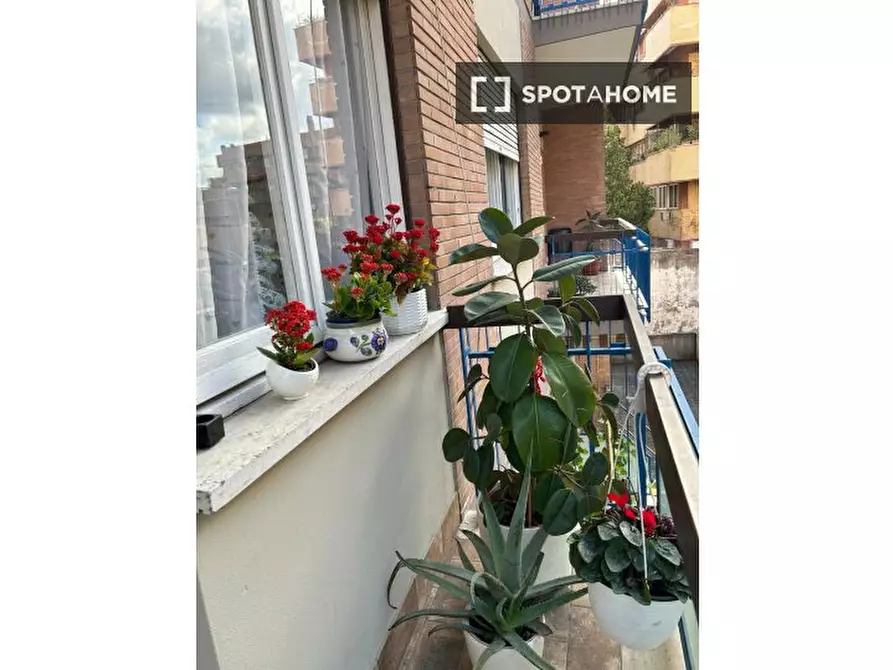 Immagine 7 di Camera condivisa in affitto  in Viale di Vigna Pia a Roma