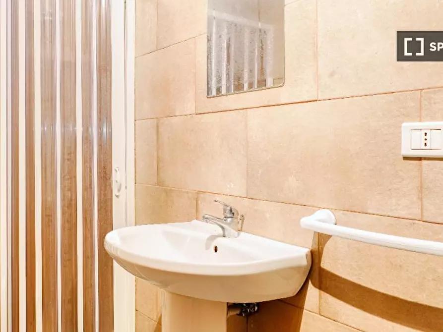 Immagine 13 di Camera condivisa in affitto  in Viale Quirico Filopanti a Bologna