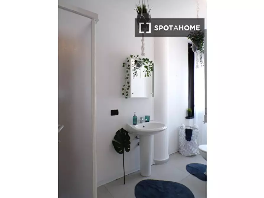 Immagine 10 di Camera condivisa in affitto  in Zambra a Trento