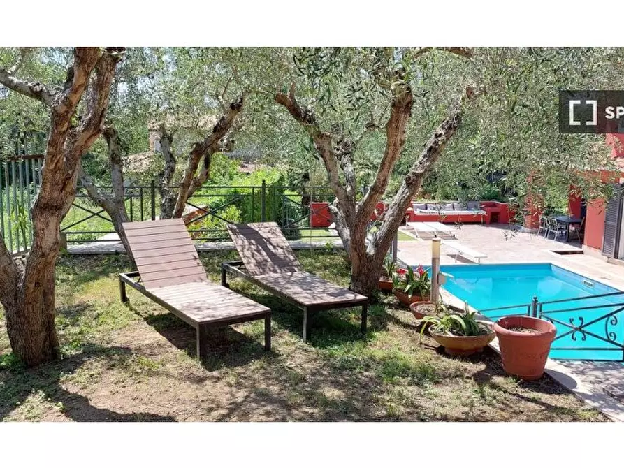 Immagine 14 di Appartamento in affitto  in Via del Ciclamino a Canale Monterano